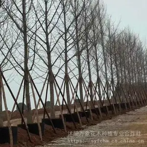 ���� �޽��������۸� 2������������ ����ľ