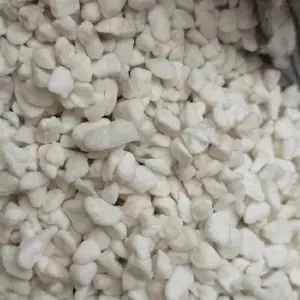 ����Ӫ���� �������������� ������ֲ����ר���������