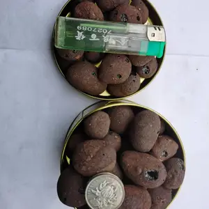 批发轻质陶粒市场 南昌哪里有卖