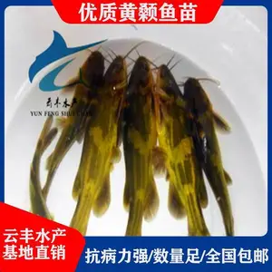 ���ݵ��԰����� �������� ������繩Ӧ��