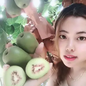 ����⨺��������ϵ���� Ʒ����ȫ ��Ӧ����⨺������� ����⨺����� �����⨺��� ⨺�����ֲ����