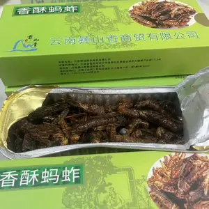 彝山香***香酥蚂蚱油炸开袋即食香酥蚕蛹小吃下饭下酒