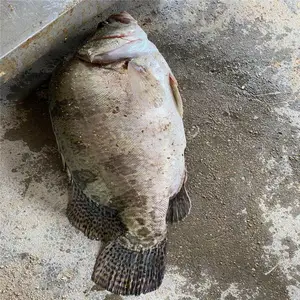 ���ٿ������ ��Դ������ �㶫���������� ��������