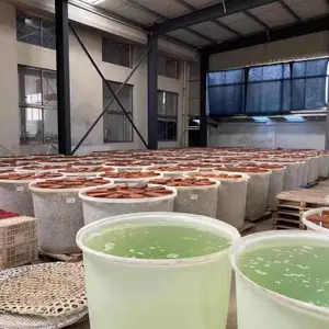��Ӧ���� 500������ˮͰ �󳨿��絰��Ͱ ����peͰ ����Ͱһ������