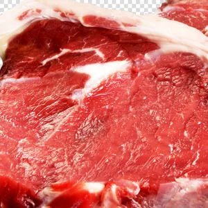 上海冷冻肉进口报关有哪些流程