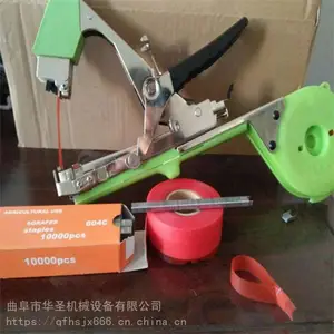 ��������Ҽ�����֦�� �������� �ƹ϶��ǰ�����