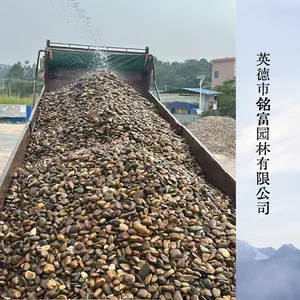 大块天然鹅卵石 草坪点缀置石 建筑回填垫层河卵石