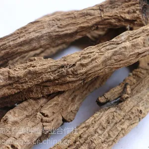亳州玄参种苗价格 玄参芽子价格 包回收种植