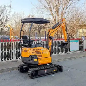 25����������Ǯ ��ˮ���� 25���ڻ� ũ������ֲ ������������Ǯ
