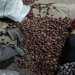 六盘水 荣茂沈阳鹅卵石 黑色鹅卵石价格优惠 欢迎选购