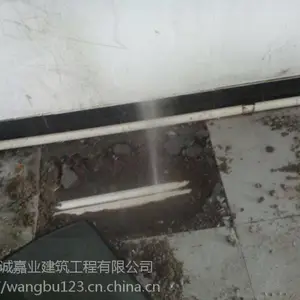 �������������ˮע������