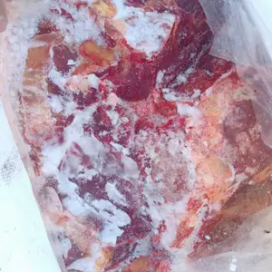 供应蒙古进口马肉五分体精修马肉活马吊宰质量***
