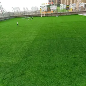 �������������Ƥ ��������ֲ���� Ծ�ܷ���ֲ��