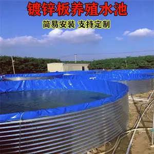 大型养殖帆布水池鱼池 定做养虾镀锌板帆布水池