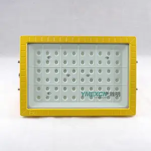 200W220VExdIICT6IP66LED冷光源固态照明防爆灯