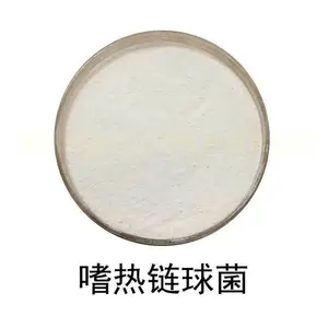 嗜热链球菌-冻干型乳酸菌原粉 活菌酸奶发酵剂 益生菌原料厂家
