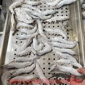 ާ��Һ���ٶ��豸�ӹ�/Һ���䶳�豸/���ʱ����ٶ�����