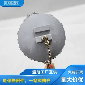 防爆型温度传感器 管壁式热电阻传感器PT100热电阻