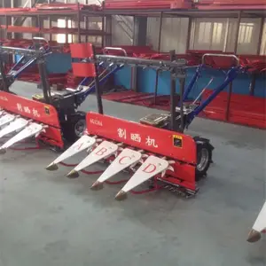 ���������ַ�ʽС���ո�� ����ոѸ�ɹ��