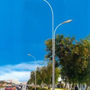 河北路灯厂家 现货发售 5.5米变径路灯杆