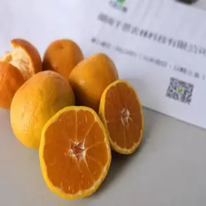 ���ϳ�ɳ�����۽�����ض���Ǯ_�����۽�������