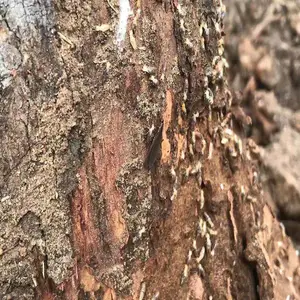 ���˰��Ϻ���***���� ��ͥ***���� ���ۺ����