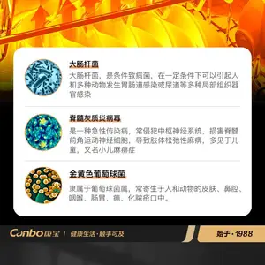 ��������С����������ʽ˫�Ŷ��ǳ����;����ò������