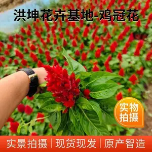 һ���� �������� �����칤�̻��� ���� ��ڻ��� �ڻ�����