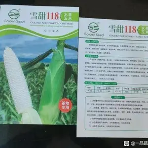 ѩ��118ˮ�����׳�������ʳ�����ӽ���,��������16-18�У�ɫ��ѩ�ף�����ʳ