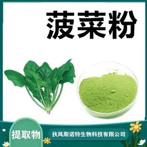 菠菜粉 斯诺特 水提浓缩无添加 食品饮料常用原料