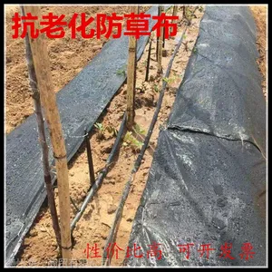 厂家供应pp防草布 黑色除草布