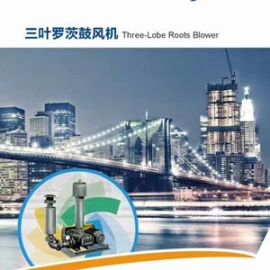 三叶罗茨风机生产厂家、三叶罗茨鼓风机定制、批发