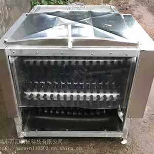 ����е�����ë�� ������ë��