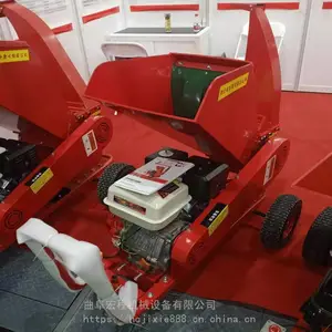 ������֦����� ��ھ���֦����������