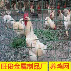 旺俊供应 市政园林防护网 户外养殖隔离网 绿色养鸡围栏网