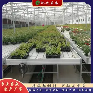 预防农作业病虫害 温室移动育苗床 潮汐苗床