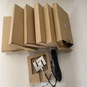 ����������վ���ϻ����ش����� S��1000kg����������