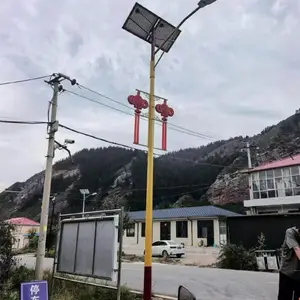 乡村改造太阳能路灯 户外防水led6米一体化太阳能路灯