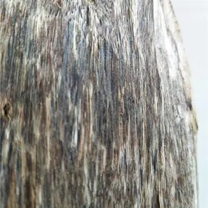 上好黑油打火眼沉香格 油脂浓密花甜香味 熏香泡茶打粉天然沉香格