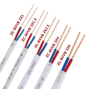 ���������ȼ�����ߵ�֧ZC-BVVB2X1��װ���̲���