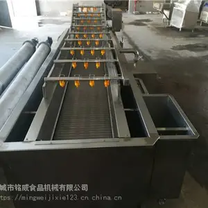 气泡式果蔬清洗机 蔬菜清洗机厂家