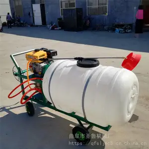 ��������ʽֲ�������� ʥ³�ƴ����ֳִ�ҩ��