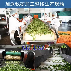 秋葵加工整套设备 秋葵脆加工生产线 秋葵提取物加工生产线