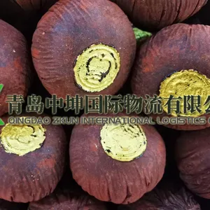 进口血竭进口清关代理