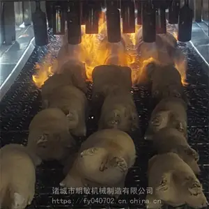���㿾ë¯ ���� ����ӹ���ˮ�� ����ʽ��ͷ��ë��