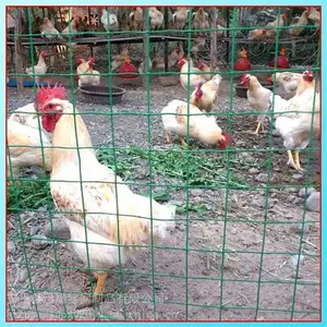 ũ��Ȧ����Χ��A������ֳ԰������AѸӥ���ἦ��Χ��������