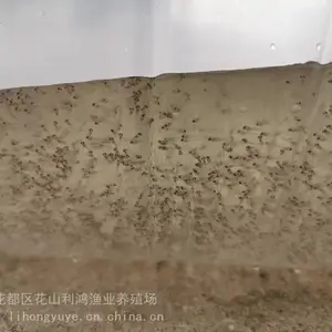 ��������ˮ�� �Ĵ���� ���� �޷� ���� ������ ���� �ƹǹ�����ϵ�