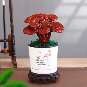 ������֥������ С����֥�辰 ������֥�ڼ� ���ڼ���ѡ ����ֱ��