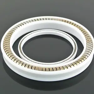 高品质工程机械PTFE密封圈 可替代圣戈班rulon