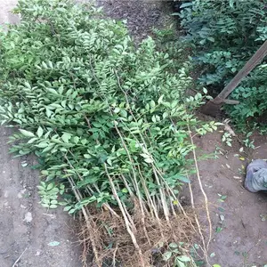 ������۸����ۻ������޴̻�����